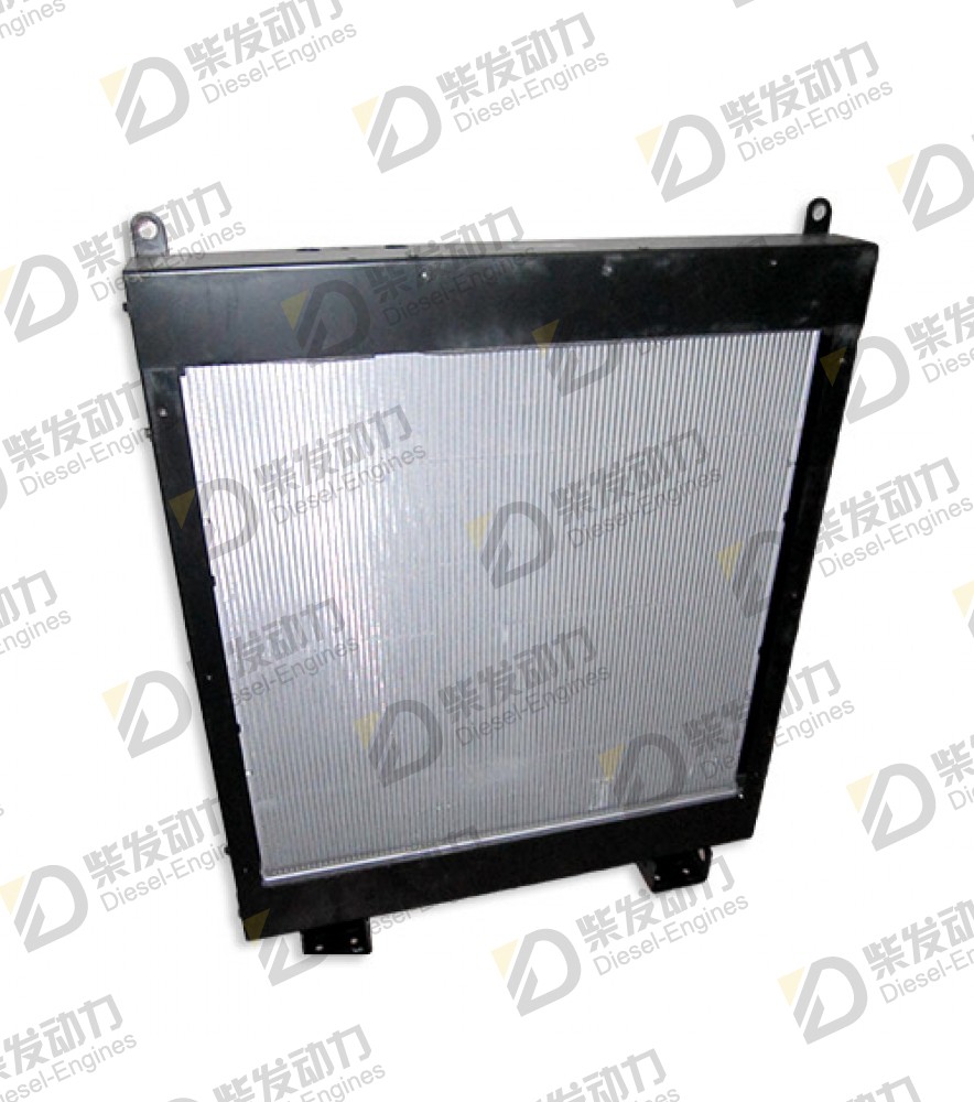 Radiator 3843761 